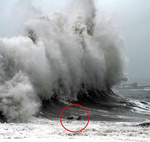 giant waves bearing